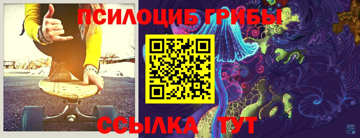 Галлюциногенные грибы GOLDEN TEACHER  Вход с VPN  Псилоцибиновые грибы GOLDEN TEACHER  Лесной 